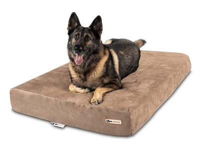 7" Orthopedic Dog Bed