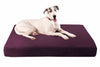 7" Orthopedic Dog Bed