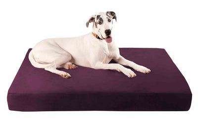 7" Orthopedic Dog Bed