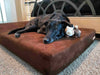 7" Orthopedic Dog Bed