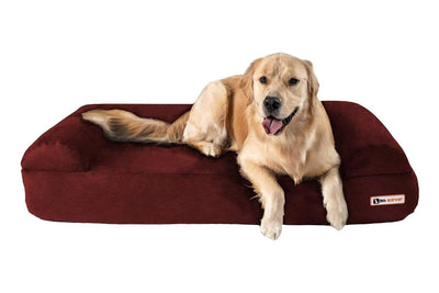 7" Orthopedic Dog Bed