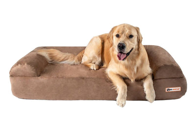 7" Orthopedic Dog Bed