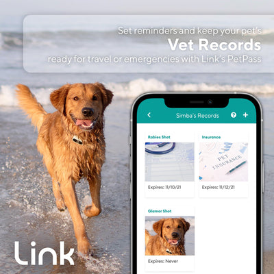 The Link Smart Pet Wearable