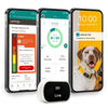 The Link Smart Pet Wearable