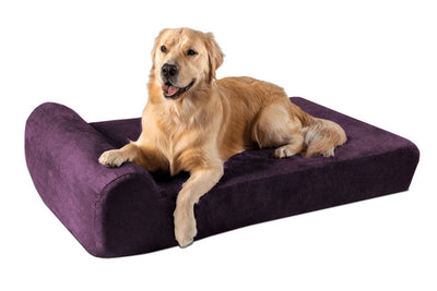 7" Orthopedic Dog Bed