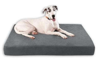 7" Orthopedic Dog Bed