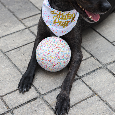 Bacon Cupcake Jolly Soccer Ball