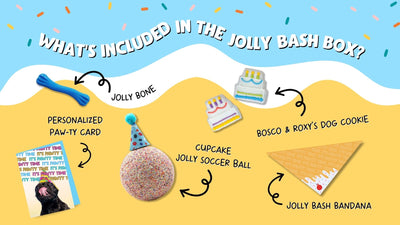 Jolly Bash Box