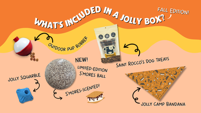 Jolly Box
