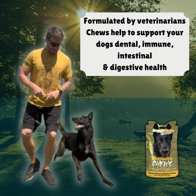 [DRINKS & CHEWS BUNDLE] SAVE BIG!  DoggyRade Unleashed Bundle - Hydration + Prebiotics Sport Drink + Prebiotic Chews