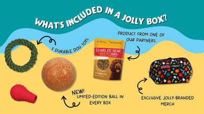 What's included in a Jolly Box? 3 Durable dog toys, new! limited edition ball in every box, product from one of our partners, exclusive jolly-branded merch