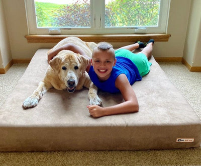 7" Orthopedic Dog Bed