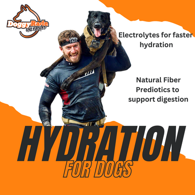 DoggyRade Unleashed Hydration + Prebiotics Sport Drink for Dogs - Chicken Flavor