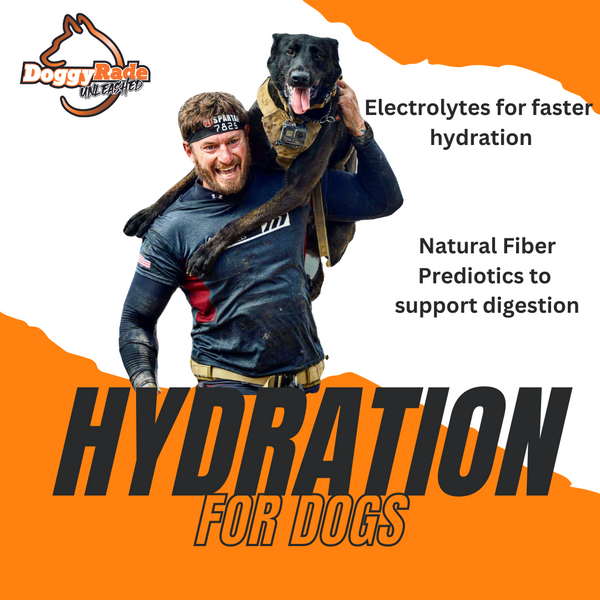 DoggyRade Unleashed Sport/Hydration + Prebiotic Drink/Chicken Flavor