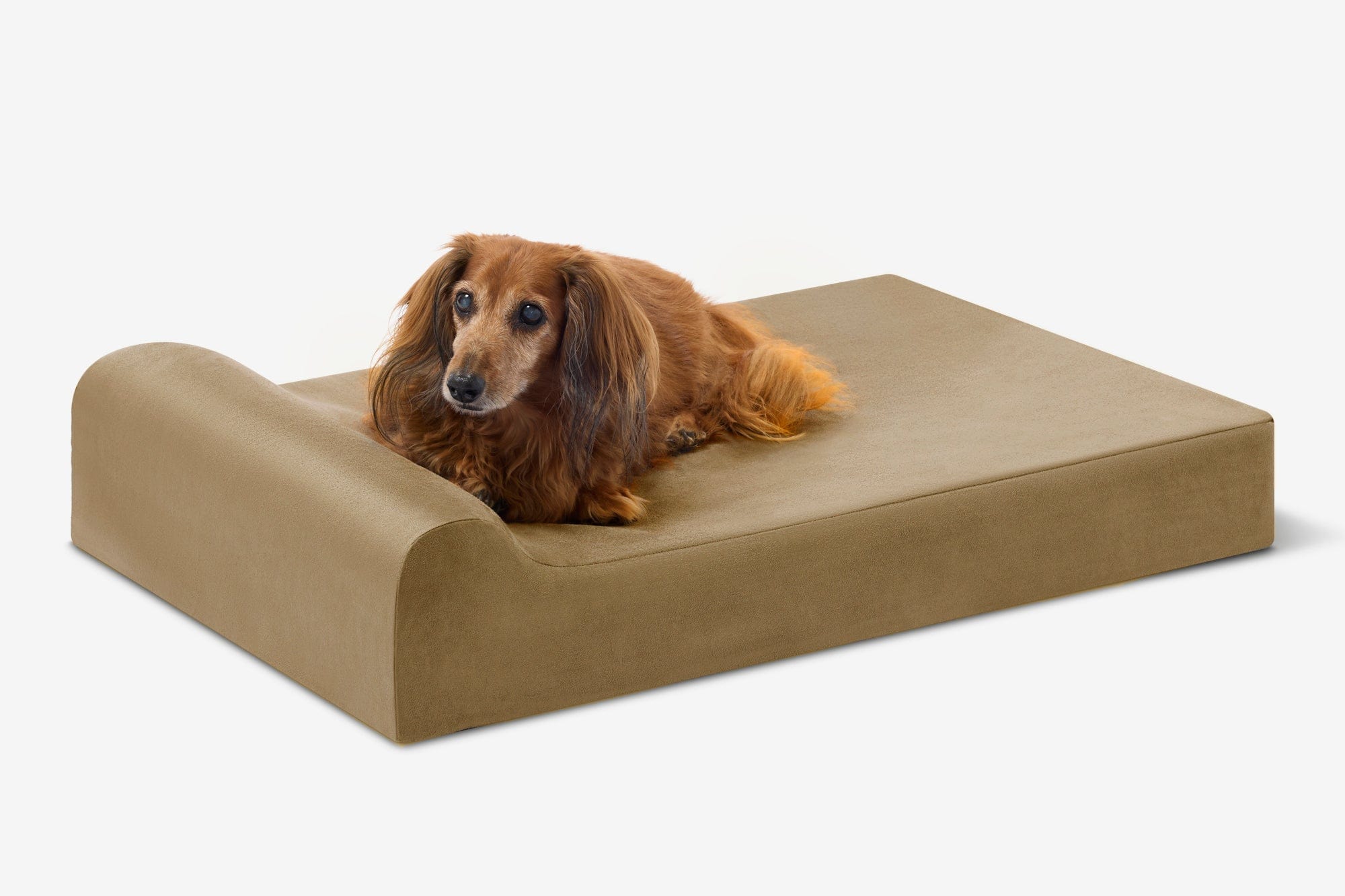 4" Orthopedic Headrest Bed
