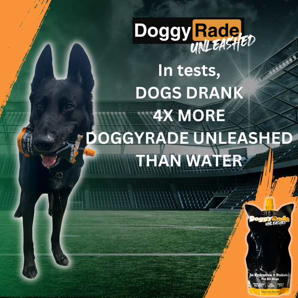 DoggyRade Unleashed Sport/Hydration + Prebiotic Drink/Chicken Flavor