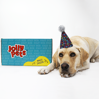 Jolly Bash Box