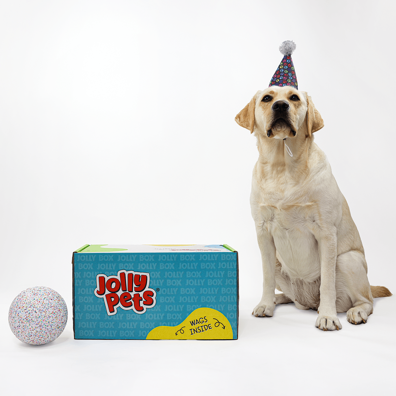 Jolly Bash Box - Jolly Pets