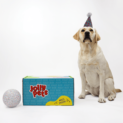 Jolly Bash Box