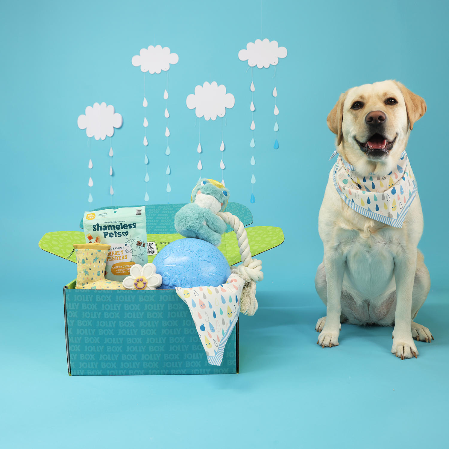 米プログレ Pavlov’s Dog 4タイトル 紙ジャケットボックスセット Amazon.com: 9th Level Games Pavlov's Dogs : Toys & Games
