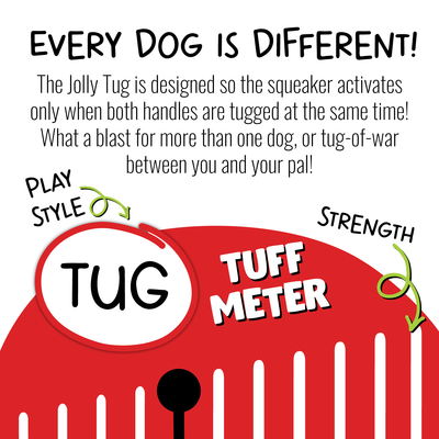 Jolly Tug Tug Dog Toy Jolly Pets
