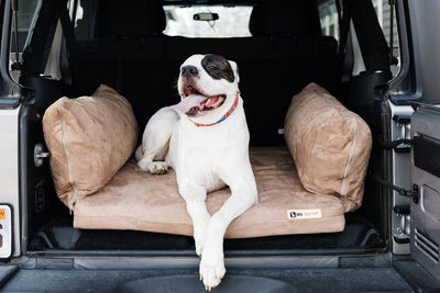 Backseat Barker: SUV Edition