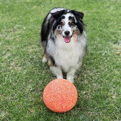 Candy Corn Jolly Soccer Ball