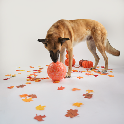 Candy Corn Jolly Soccer Ball