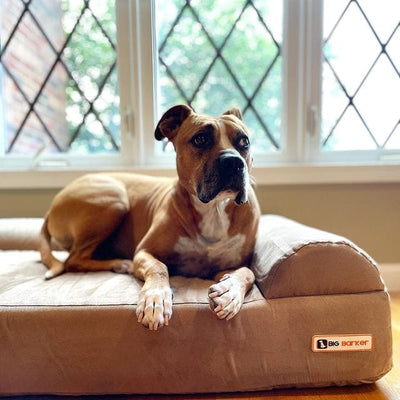 7" Orthopedic Dog Bed