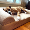 7" Orthopedic Dog Bed