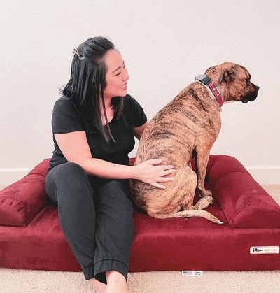 Big Barker Orthopedic Dog Bed