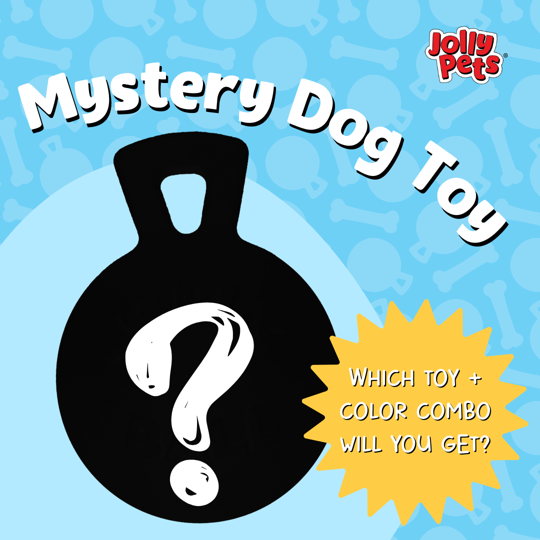 Mystery Toy - Jolly Pets