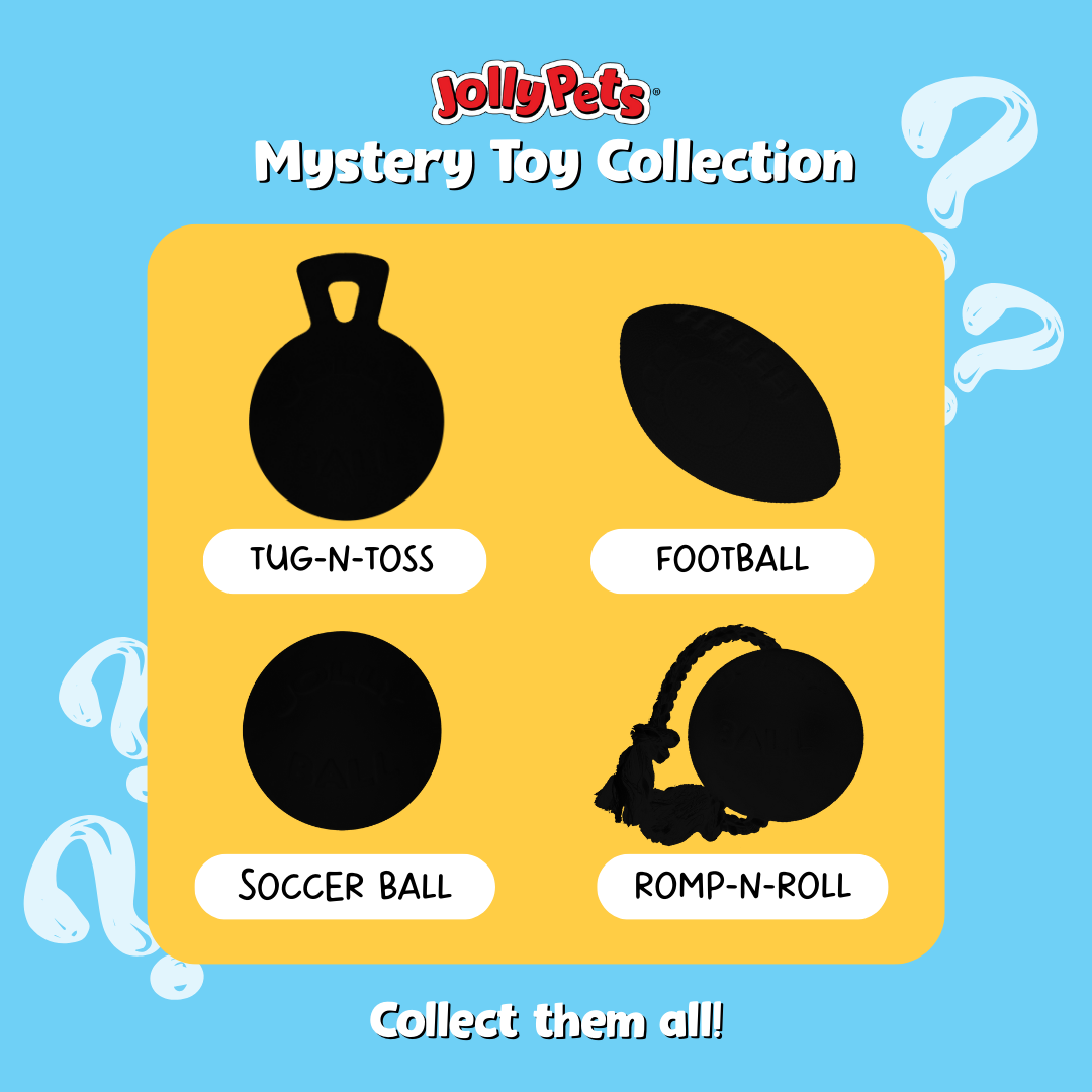 Mystery Toy - Jolly Pets
