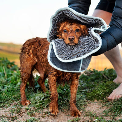 Pet Noodle Glove Towel