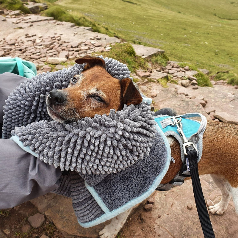 Pet Noodle Glove Towel