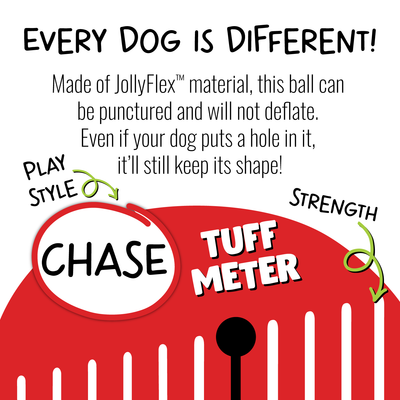 Jolly dog soccer ball clearance