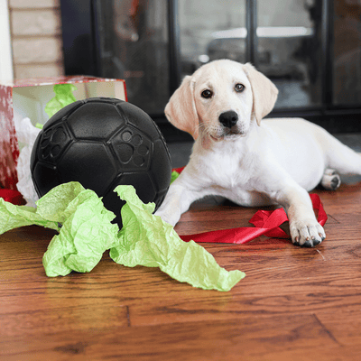 Naughty or Nice Jolly Soccer Ball