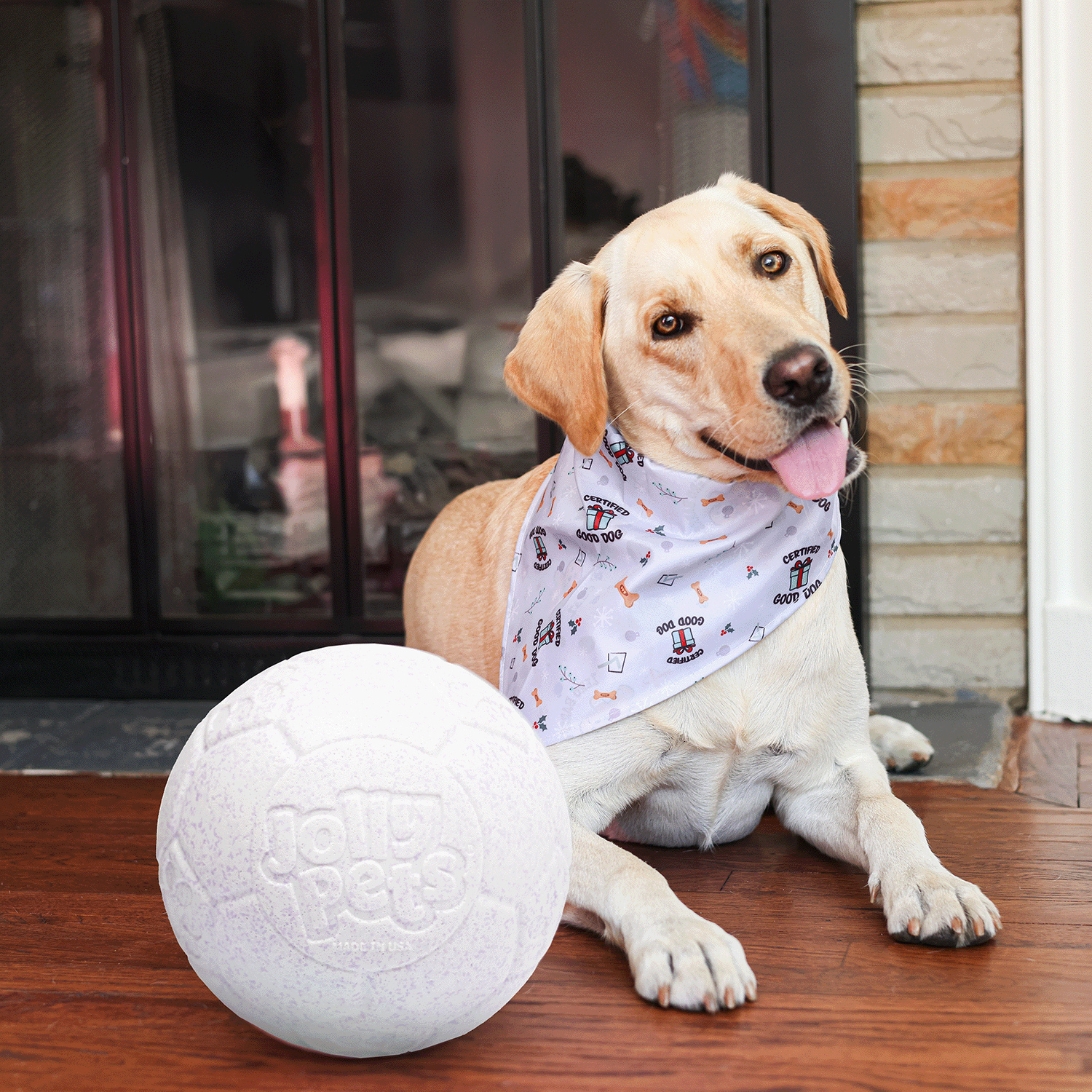 Winter Jolly Soccer Ball | Ball Dog Toy - Jolly Pets Winter Jolly Soccer Ball | Ball Dog Toy - Jolly Pets