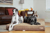 7" Orthopedic Dog Bed