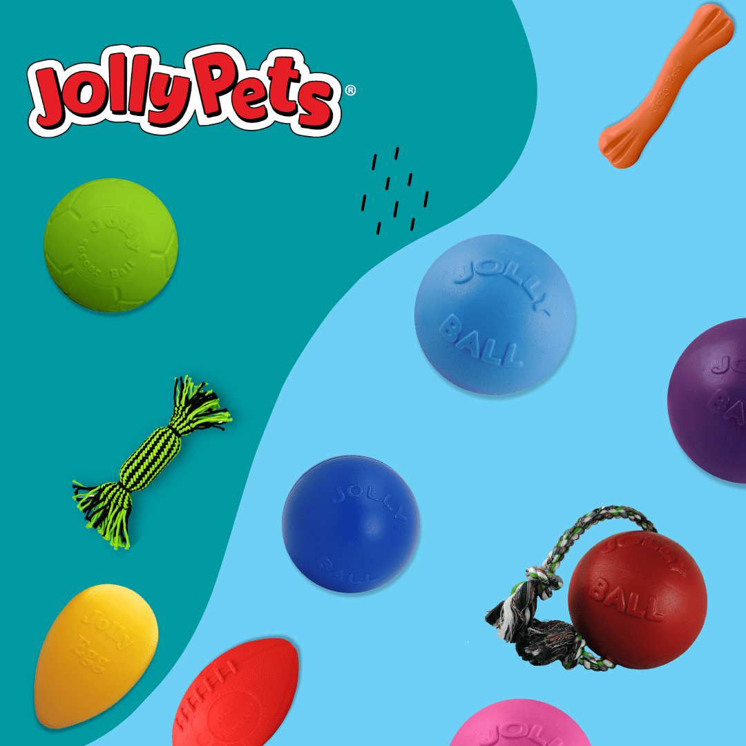 RSVPs Global Influencer Event 2025 Jolly Pets rsvps-global-influencer-event-2025-jolly-pets