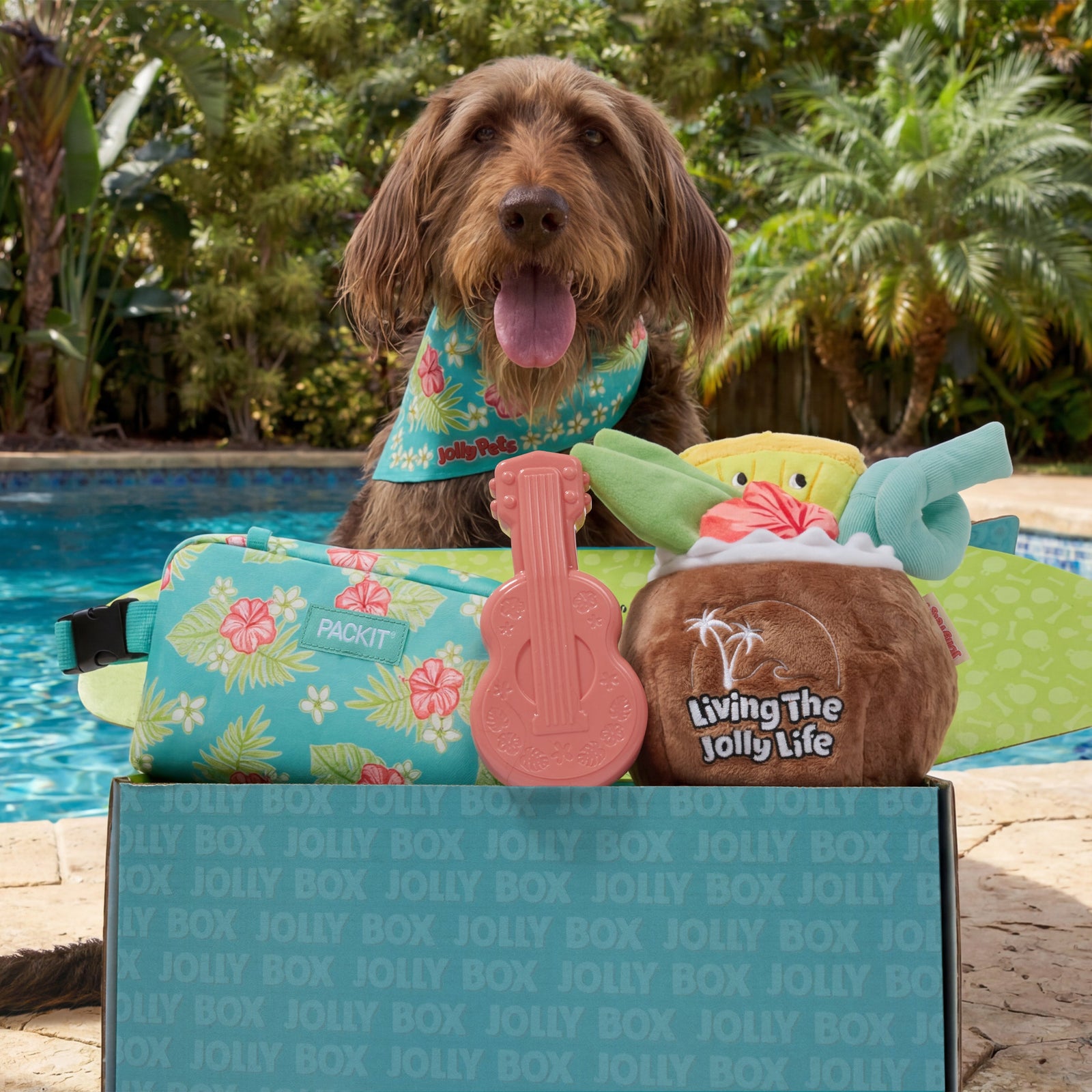 Jolly Box