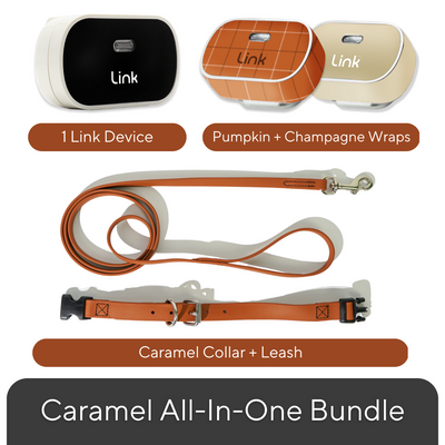 All-In-One Link Bundle