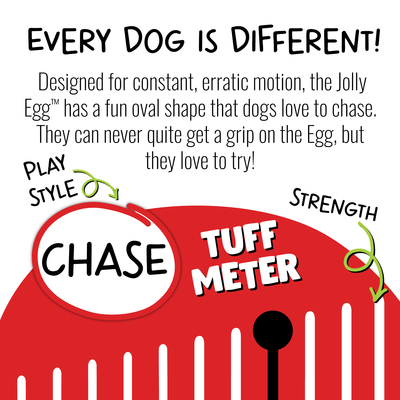 Jolly top egg canada