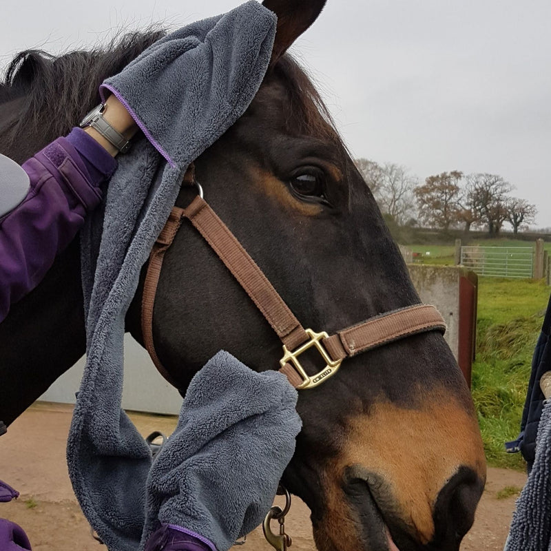 Equine Microfiber Glove Towel