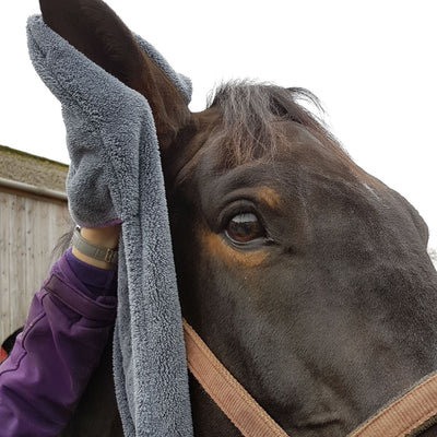 Equine Microfiber Glove Towel