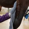 Equine Microfiber Glove Towel