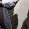 Equine Microfiber Glove Towel