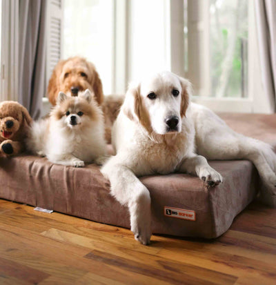 Big Barker Orthopedic Dog Bed