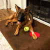 7" Orthopedic Dog Bed