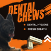 [3 PACK] DoggyRade Unleashed Prebiotic Chews/Chicken Flavor/Gut Health/Dental Care/3 x 3.5 ounce Pouches